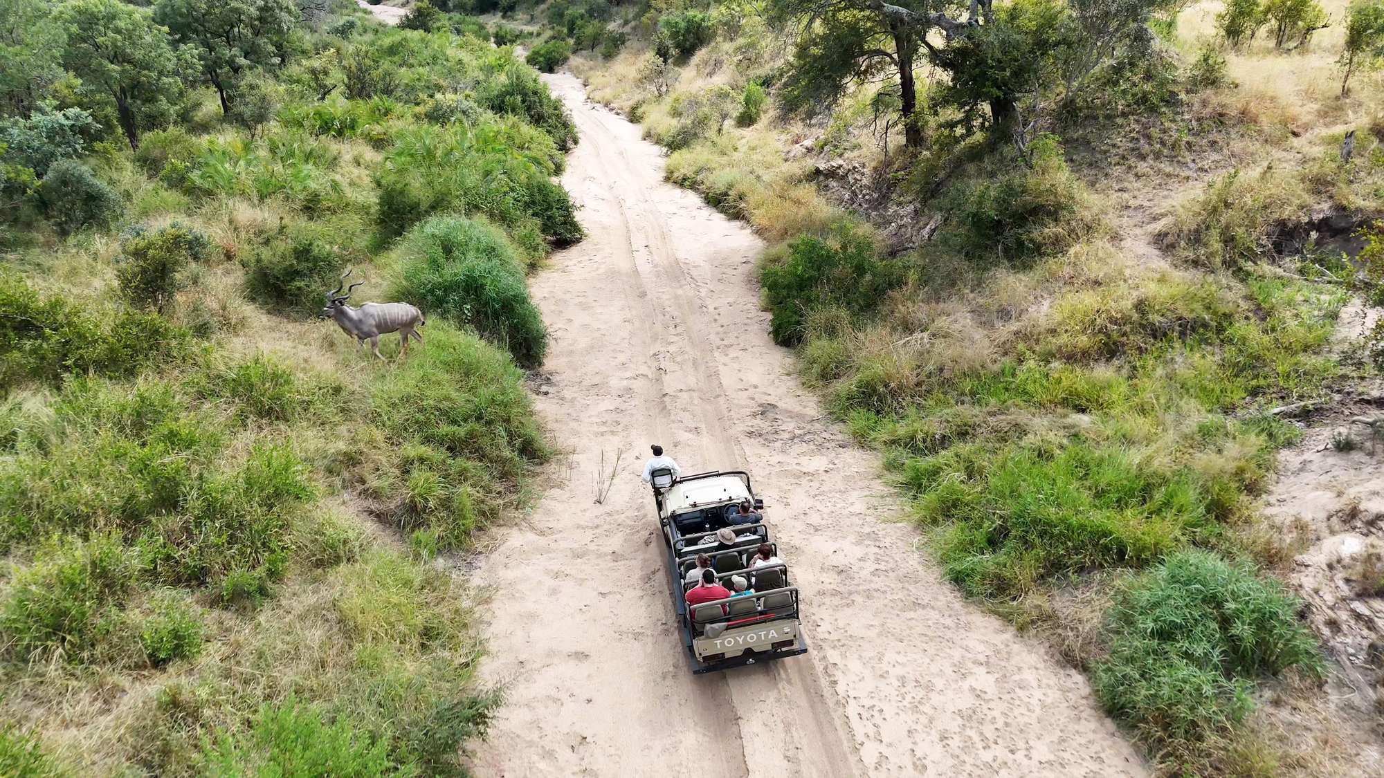 Elephant Plains — Game drive through the Manyeleti riverbed